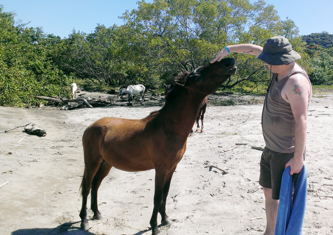 Glenn petting a brown pony on a sandy beach, with donkeys in the background.